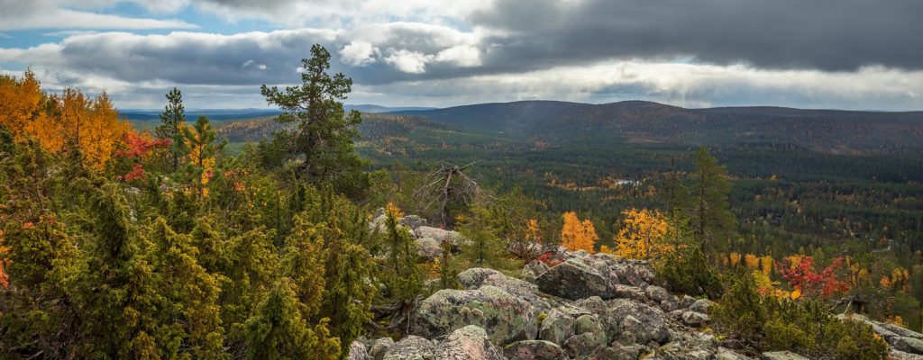 A view from the top of Pieni Pyhätunturi in Salla.