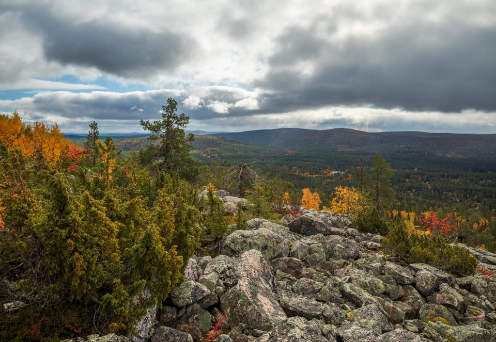 A view from the top of Pieni Pyhätunturi in Salla.