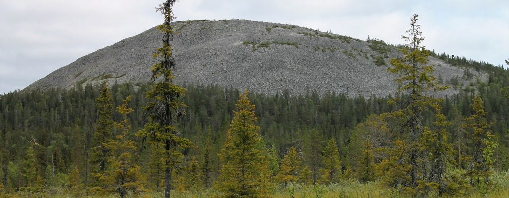 Treeless Ylläs fjell behind a mire on a cloudy day.