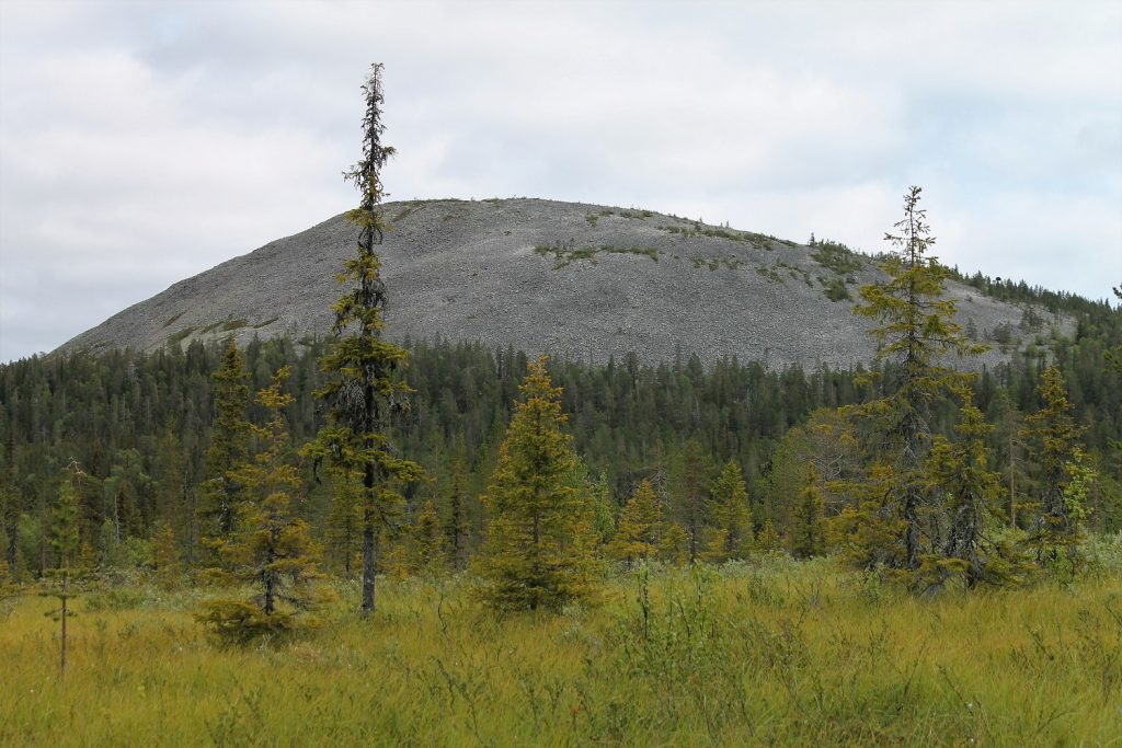 Treeless Ylläs fjell behind a mire on a cloudy day.