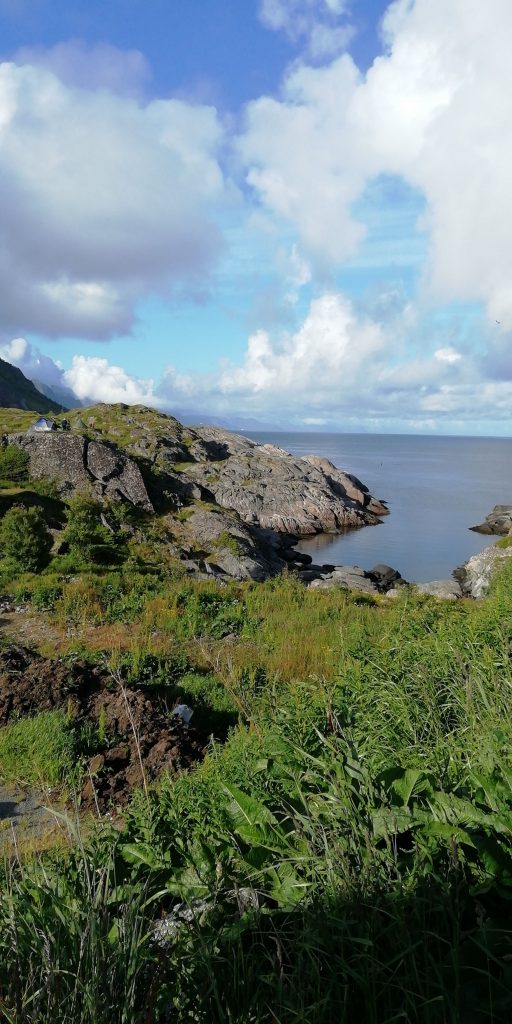 Beautiful views in Lofoten