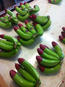 Ecobananas from Innisfail