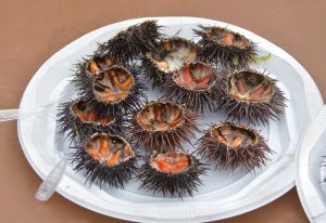 Top food memory No1 is sea urchins on plate and ready to eat.