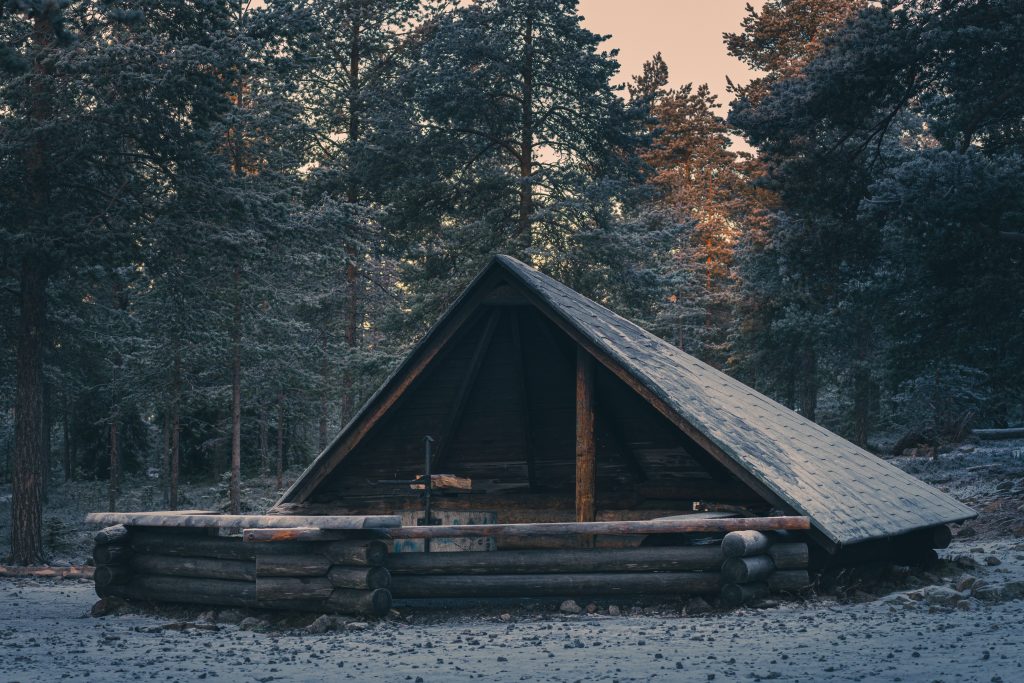 a photo of empty lean-to with fireplace in forest