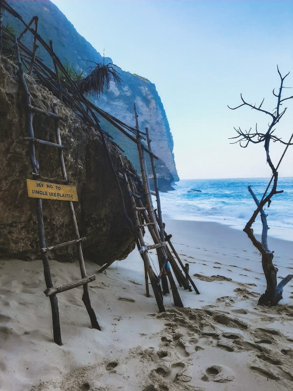 Ladder to Kelingking Beach.