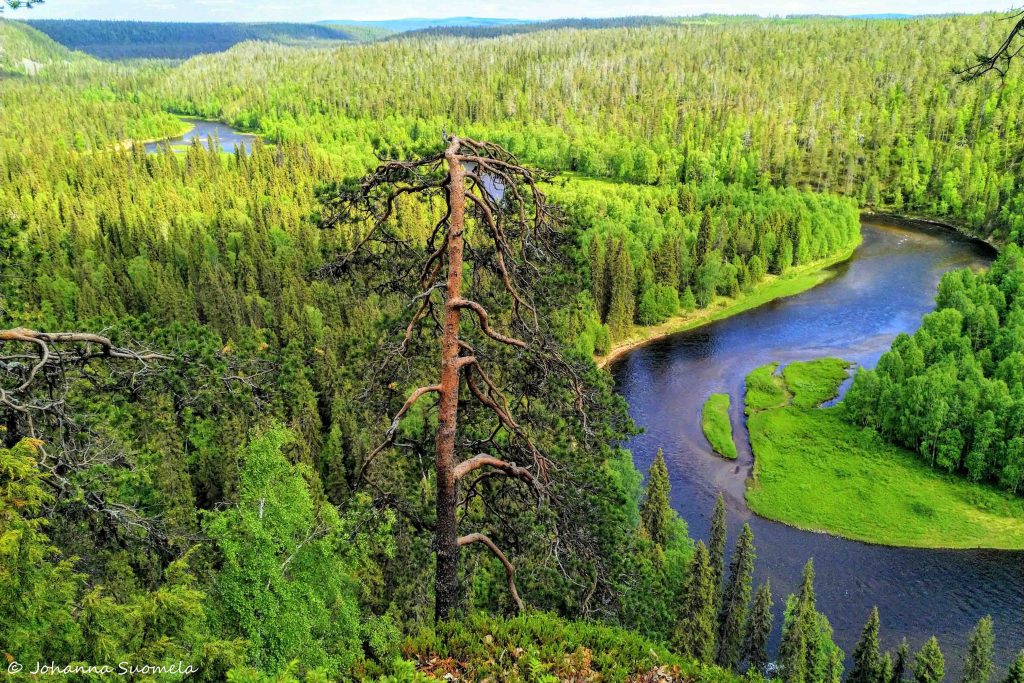 Pähkinäkallio river