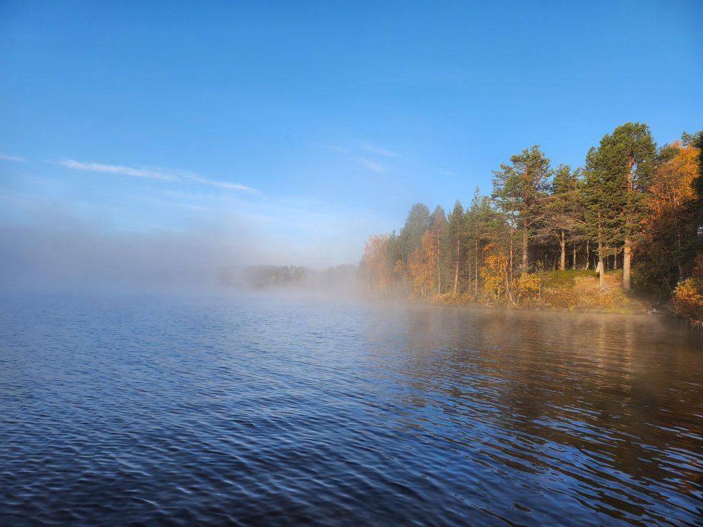 A misty morning in a lake