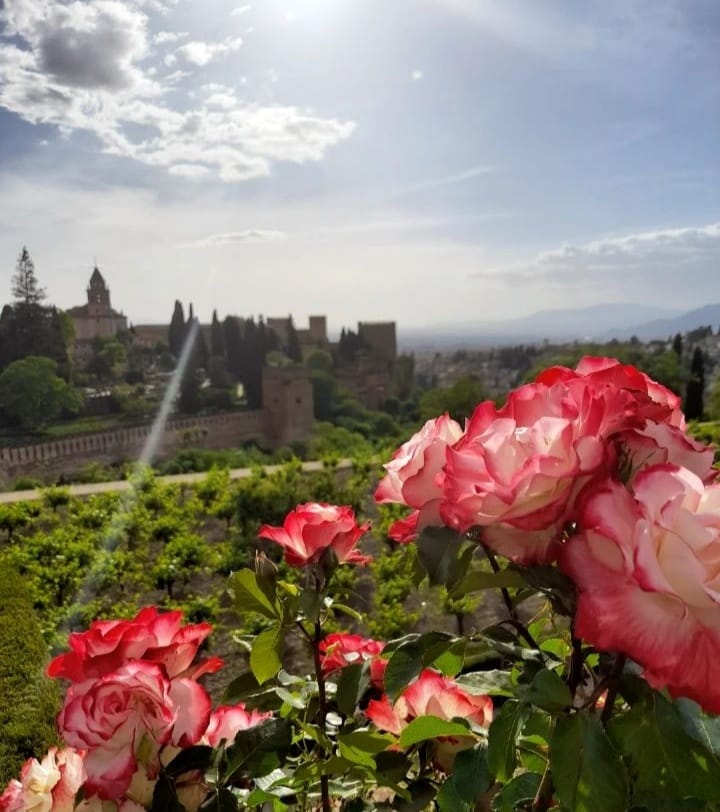 Photo of Alhambra Palace.