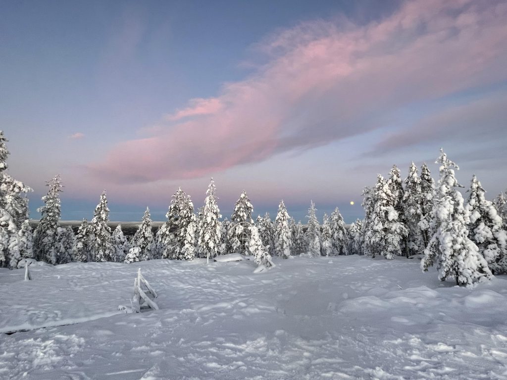 Winter landscape from Rovaniemi. 