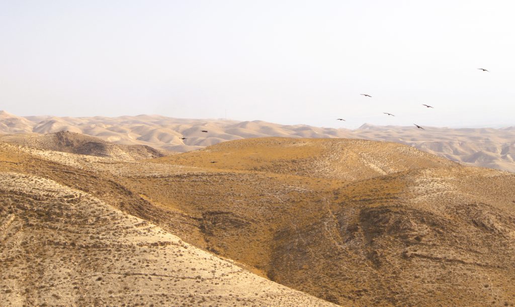 Desert view in Israel.