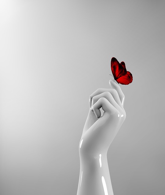 Photo of hand holding a butterfly.