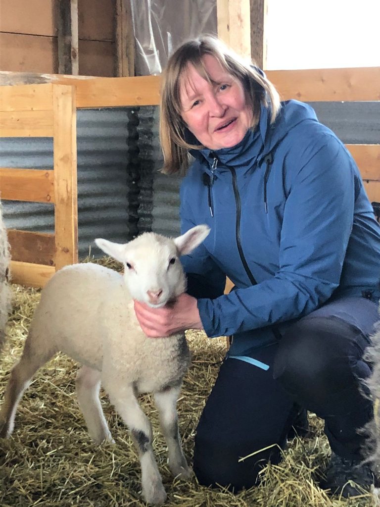 The author caressing a white lamb.