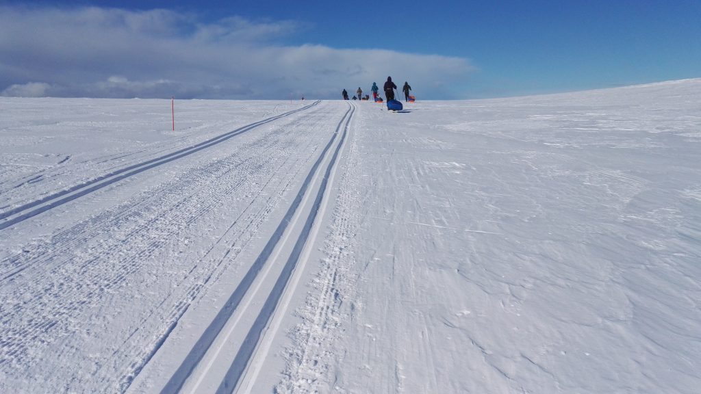 ryhmä ahkiota vetäviä vaeltajia hiihtämässä ylämäkeen. ryhmän ohi menee hiihtoladut.