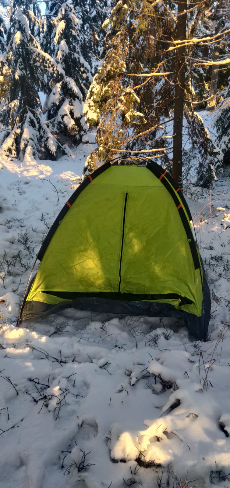 vihreä teltta lumisessa metsässä