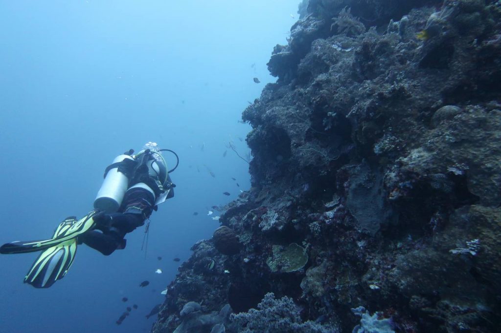 Me on one of my favourite dive sites called Bunaken Timur in Bunaken National Park.