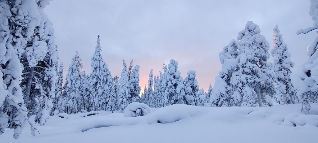 A winter day has very few colours, only gray and some red and yellow from the pale sun in the horizon.