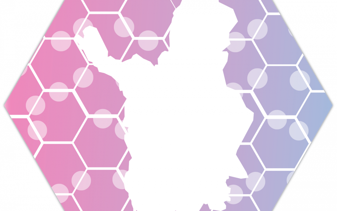 Korkeakoulutettujen työllisyyden edistäminen Lapissa