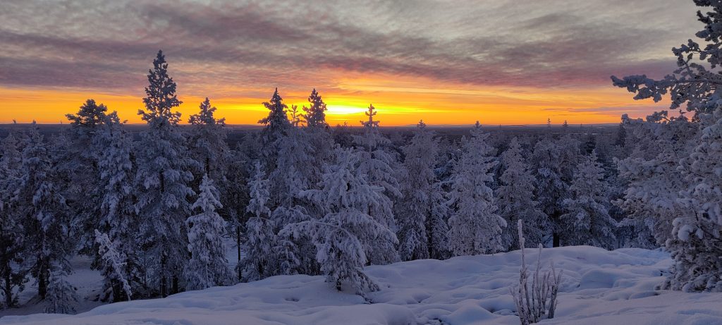 Yellow and orange sunset behind a snowy pine forest at 2 p.m.