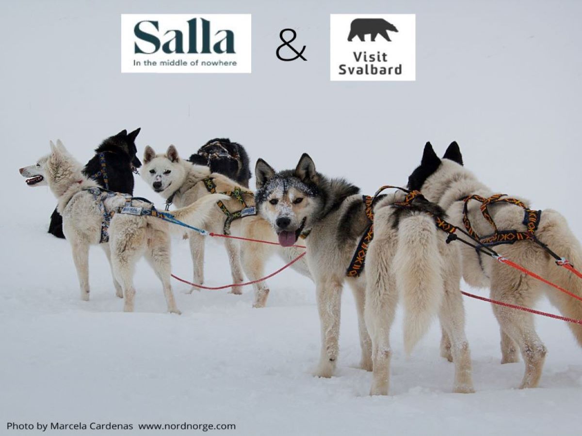 Talvinen maisema, jossa näkyy kuuden huskykoiran iloinen valjakko. Kuvan yläosassa Visit Sallan tekstimuotoinen logo ja Visit Svalbardin jääkarhulogo.