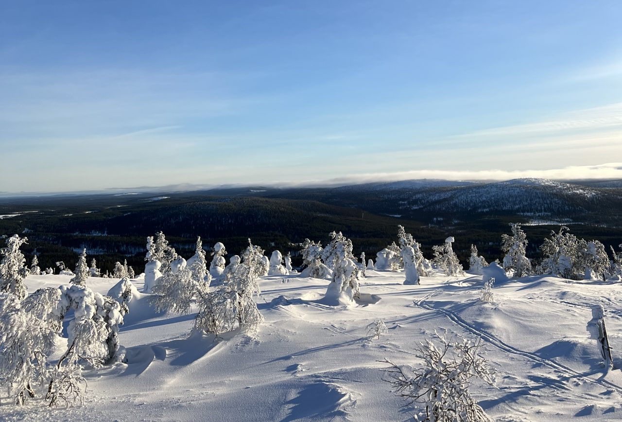 Sininen taivas koristaa Sallan hiihtokeskuksen huipulta näkyvää maisemaa. 