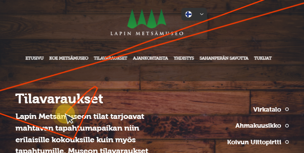 Hotjar-videotallenne verkkosivuston käyttäjän vierailusta: käyttäjän hiiren liikkeet, klikkaukset ja vierailun kulku visualisoituna analyysia varten.
