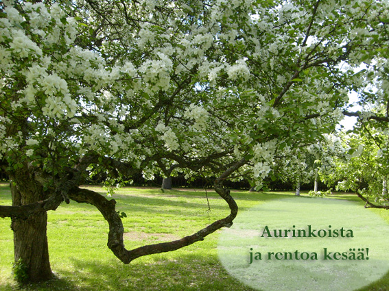 Aurinkoista kesää ja lomaa!