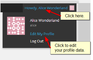 Edit My Profile on blog page Edit My Profile on blog page