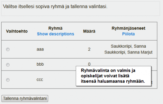ryhmavalinta3