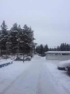 All white winter in Finland