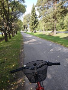 Picture of a bike on the road in Finland.