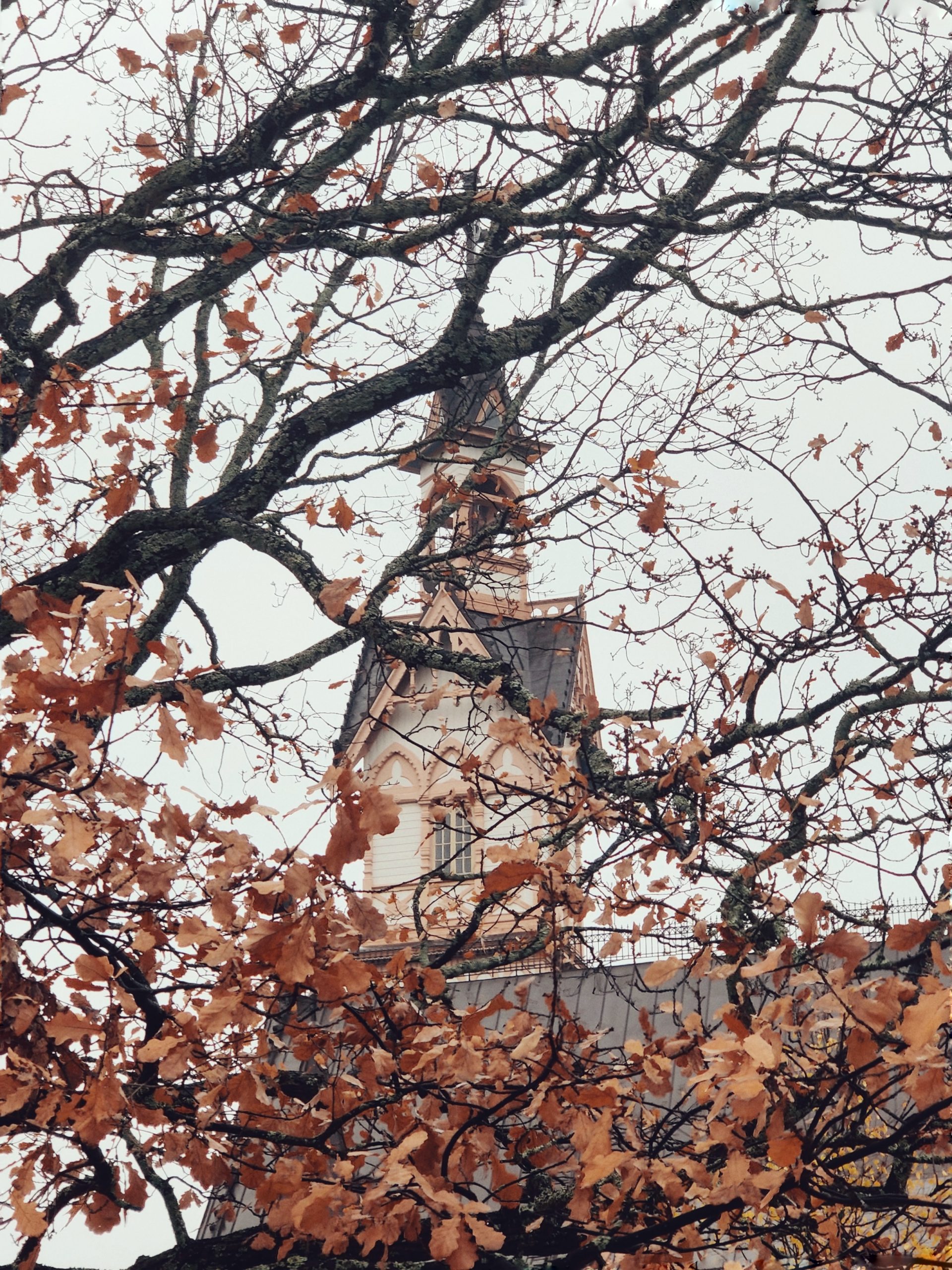 Kajaani church through autumn leaves.