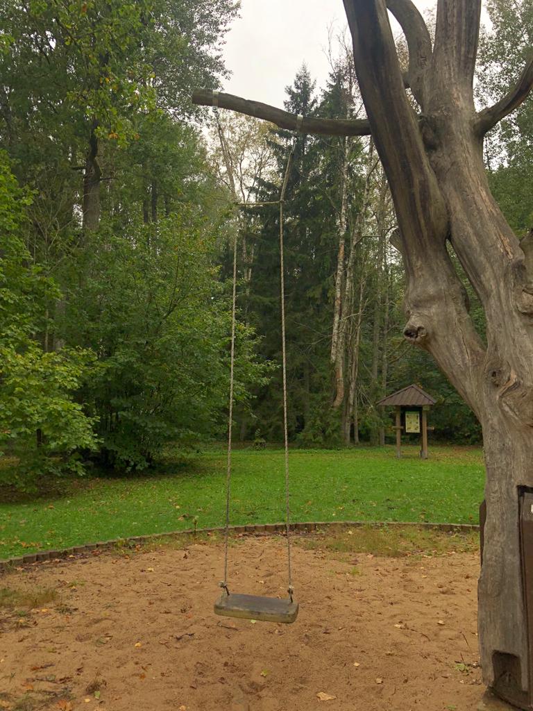 Lonely swing