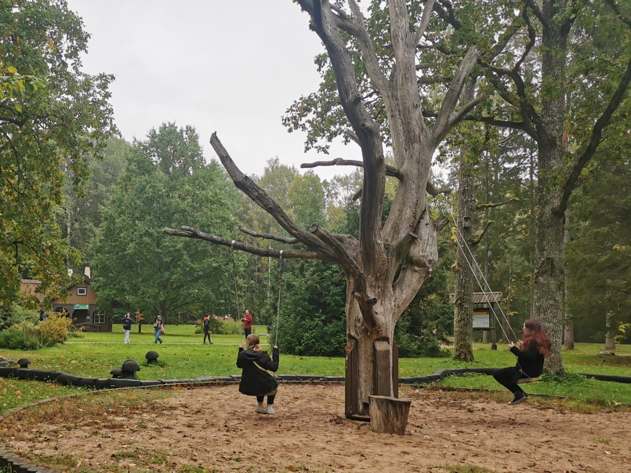 Not so lonely swing