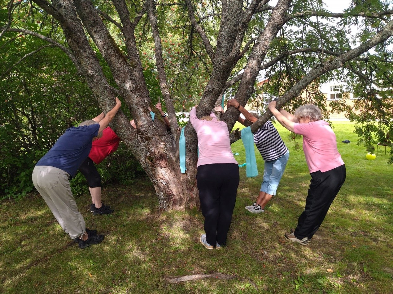Joukko iäkkäitä ihmisiä venyttelee pitämällä kiinni haarautuvan puun monista rungoista.