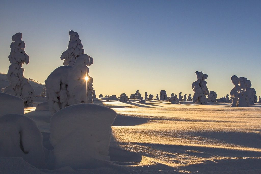 Winter sunshine in Finnish Lapland 