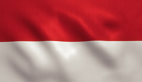 Indonesian flag, Red- White