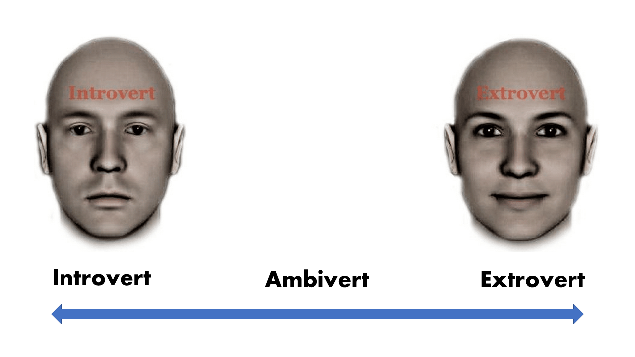 personality spectrum of extravert ambivert introvert