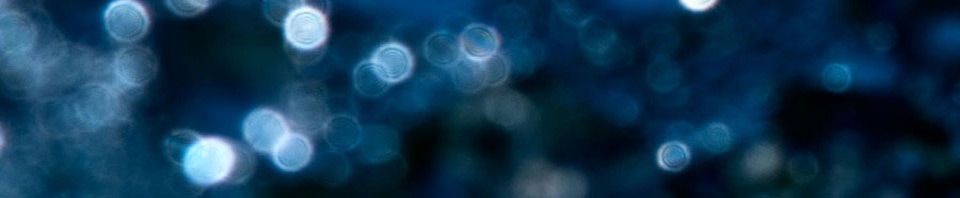 Projektin ja omien kokemusten esitys