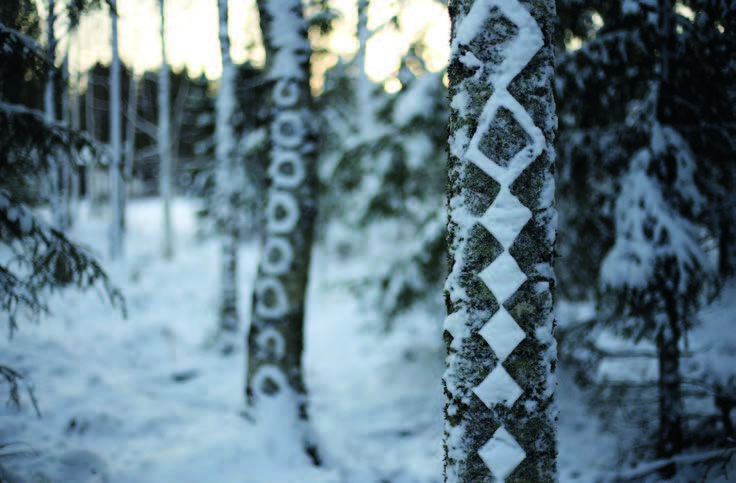 Living With the Snow in the Landscape