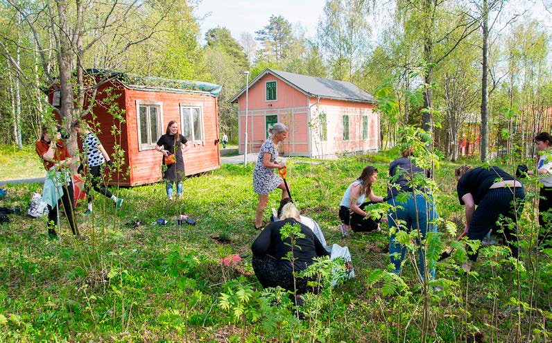 Knowing through Soil, Care, and Community