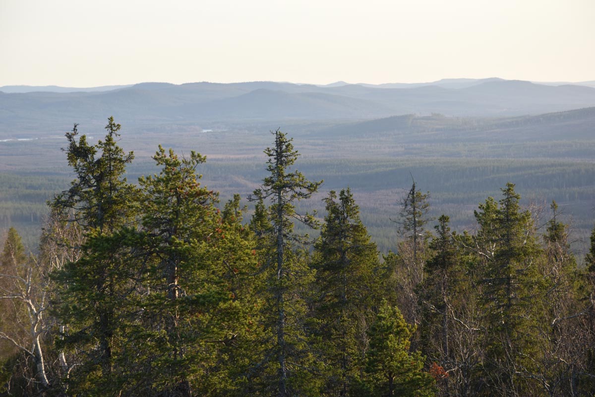 Pullinki,Övertorneå, Sweden