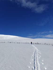 Vapaalaskija nousemassa aurinkoisessa ja kirkkaassa säässä koskematonta lumipolkua pitkin. Syvänsininen taivas ja laajat lumiset aukeat.