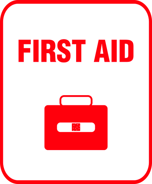 first-aid-1288342_640pu