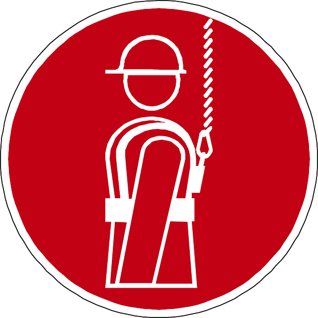 harness-98605_640pun
