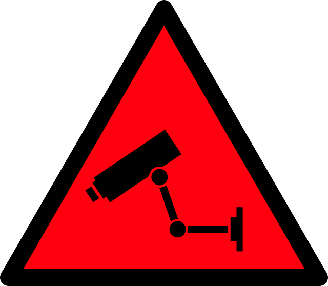 surveillance-155982_640pun